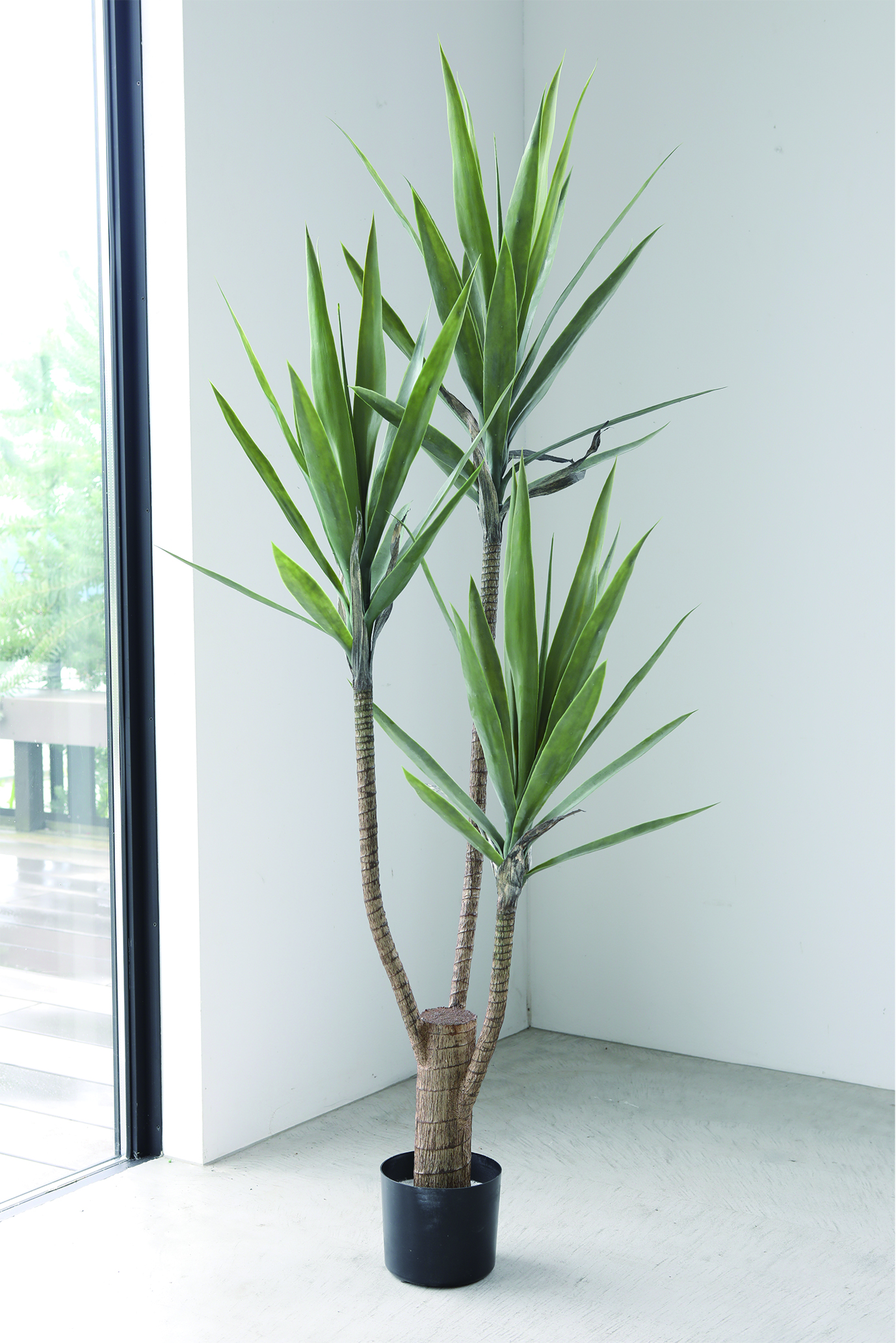 ユッカ・トロイボレル