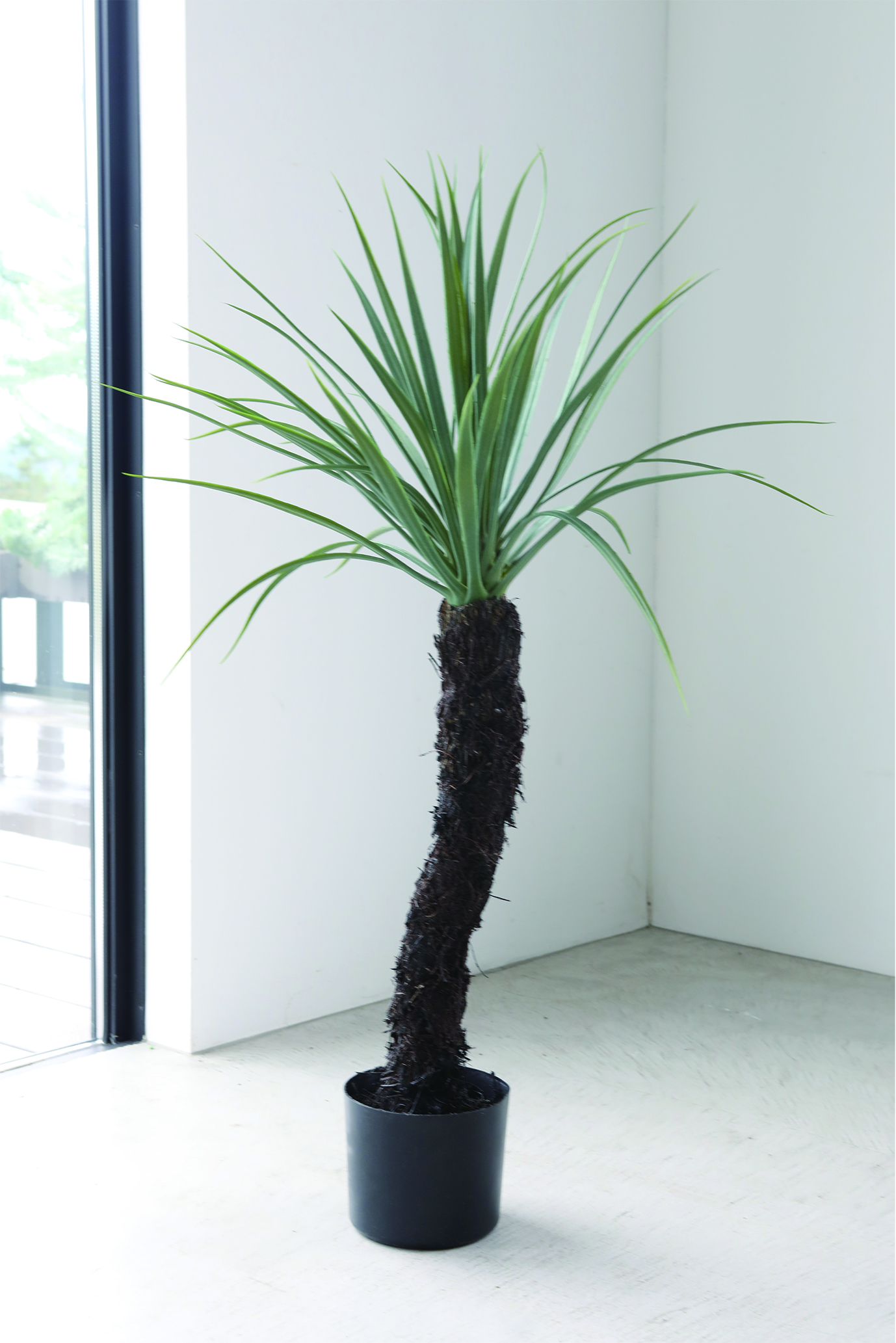 ユッカ・ロストルータ