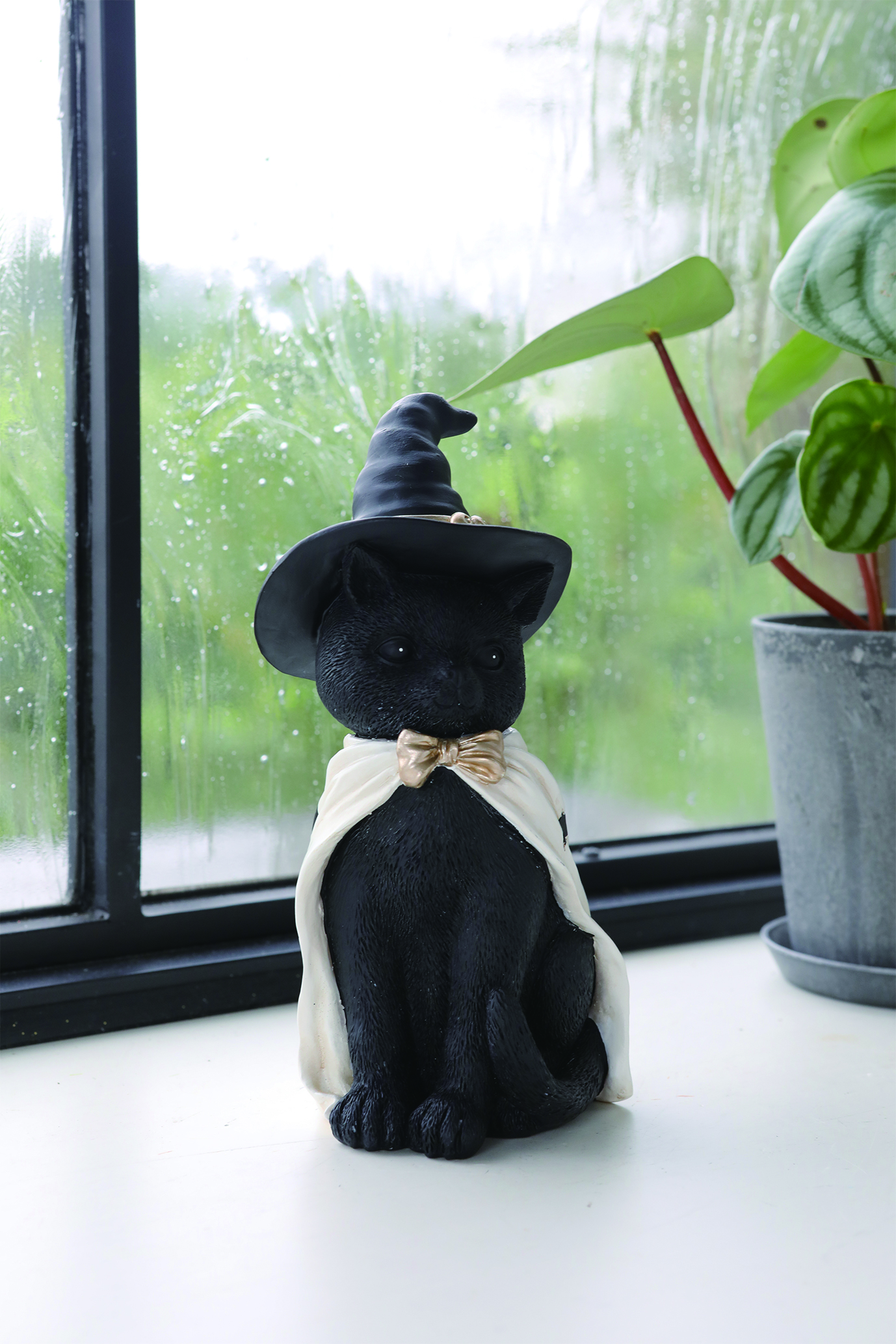 ミスティックキャット