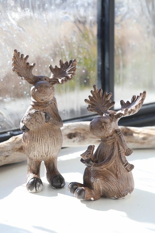 ウィンタ・アランラズ 2種アソート