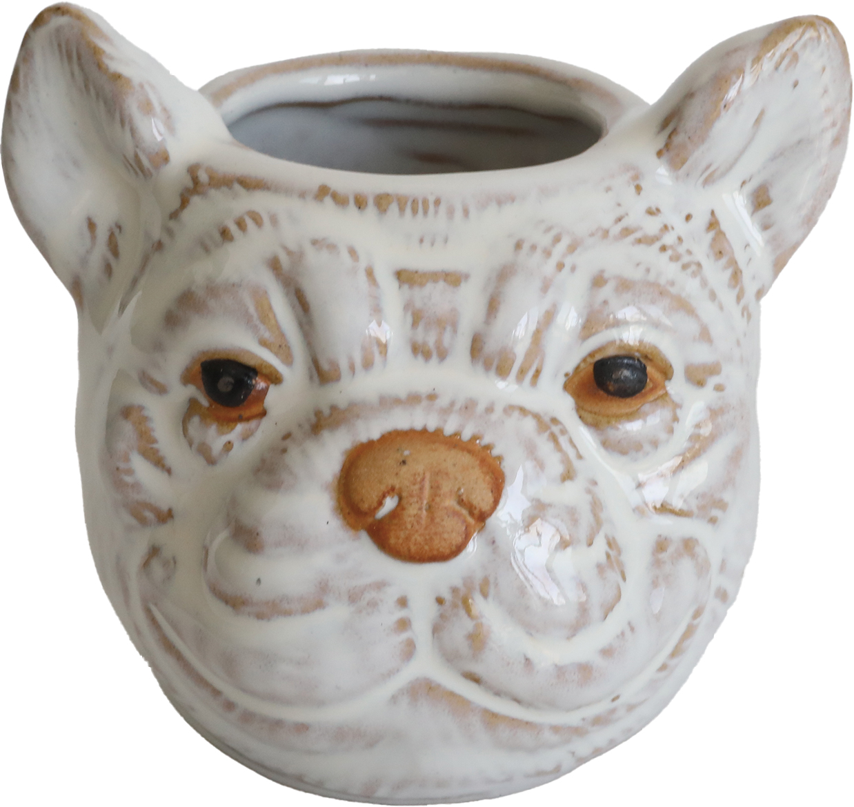 アニマルカップ・オルカ