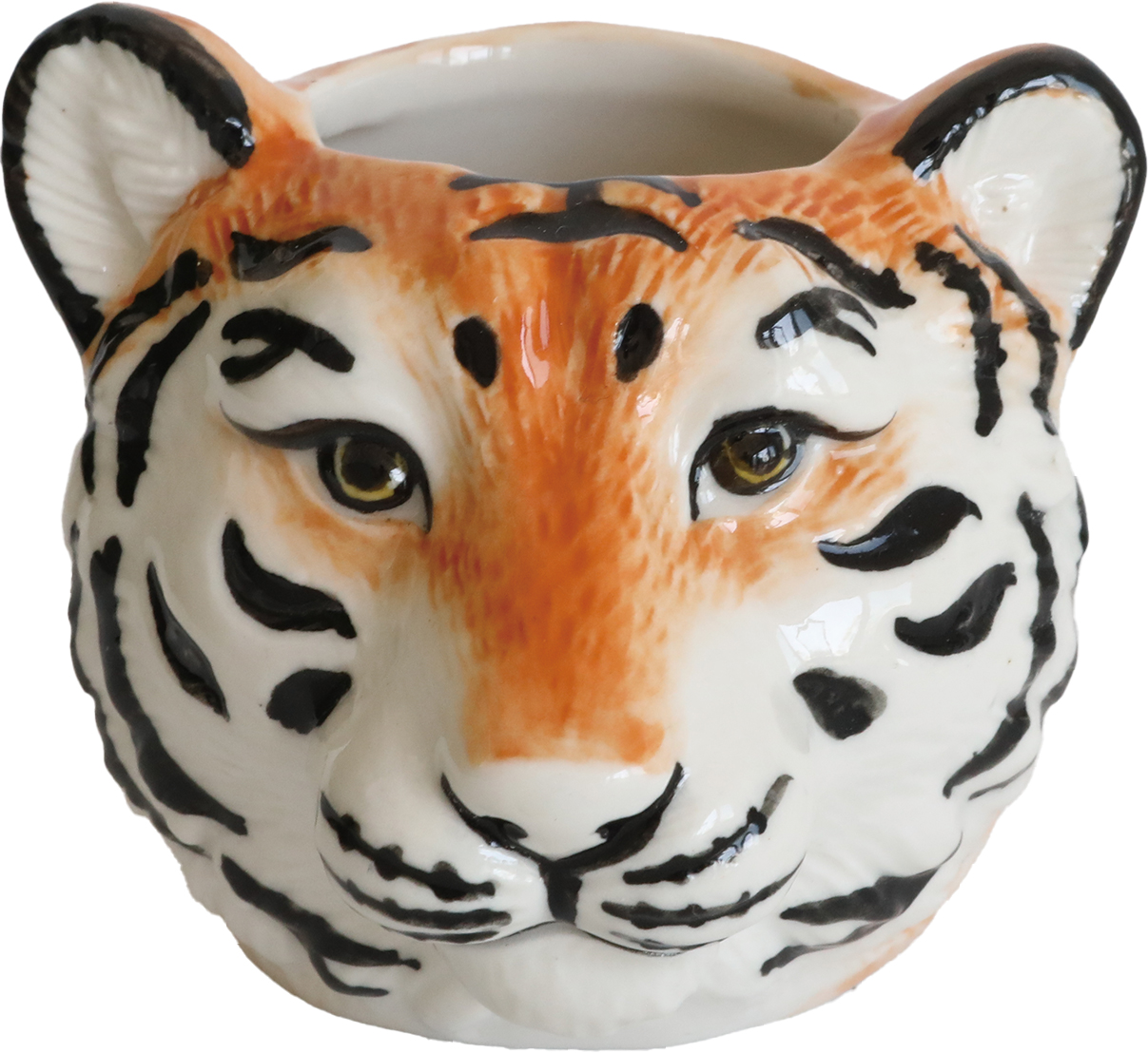 アニマルカップ・リオス