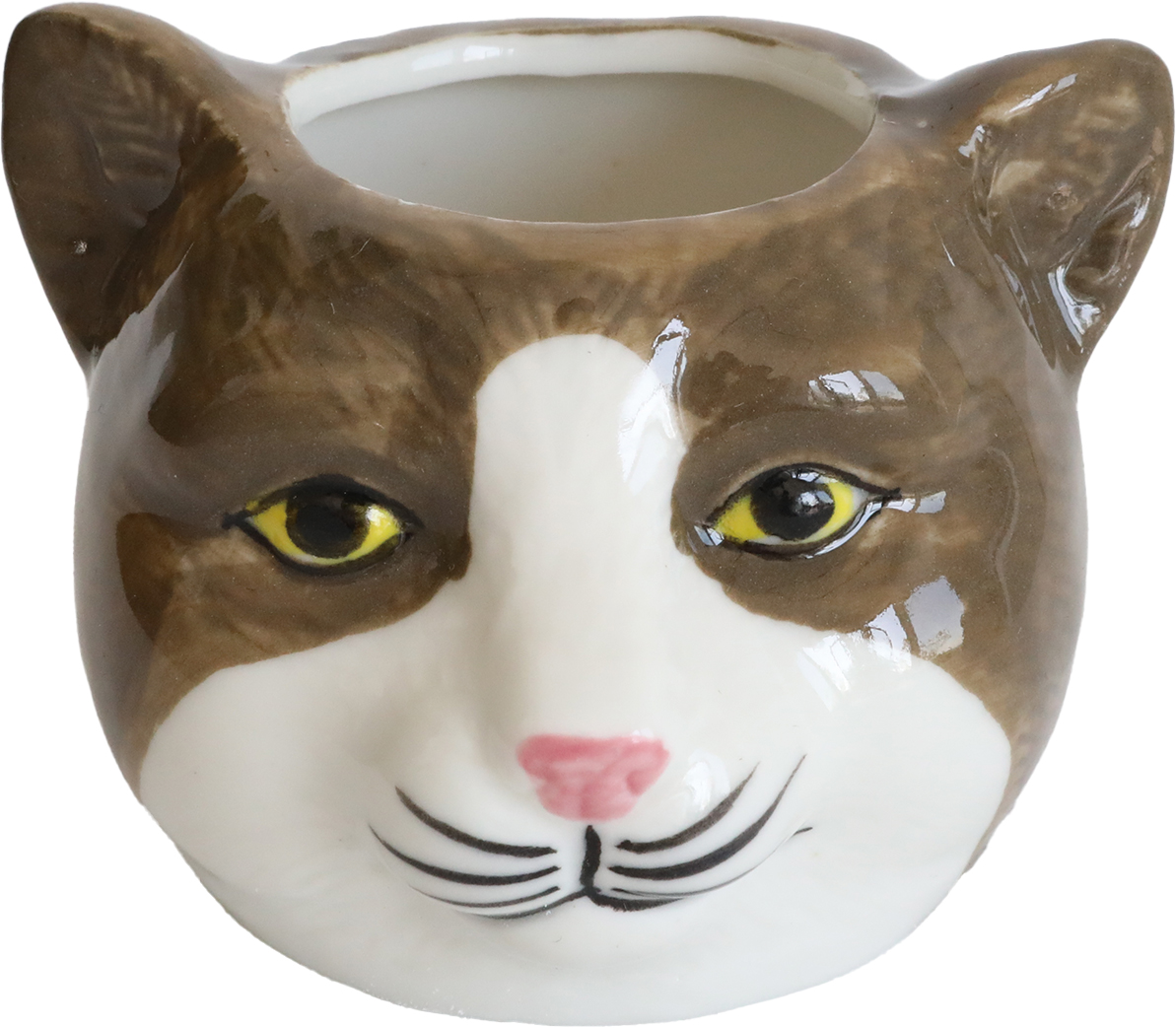 アニマルカップ・フェル