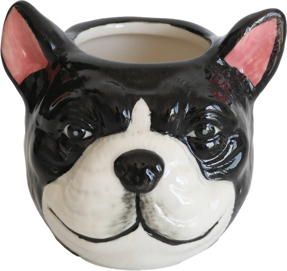 アニマルカップ・グリム