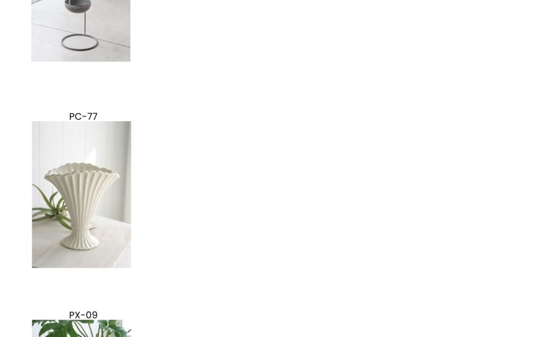 BW PC PX 商品入荷のお知らせ